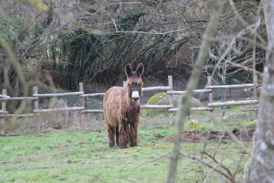 Une belle rencontre