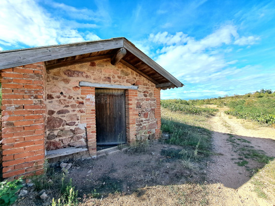 une cabane de vigne \