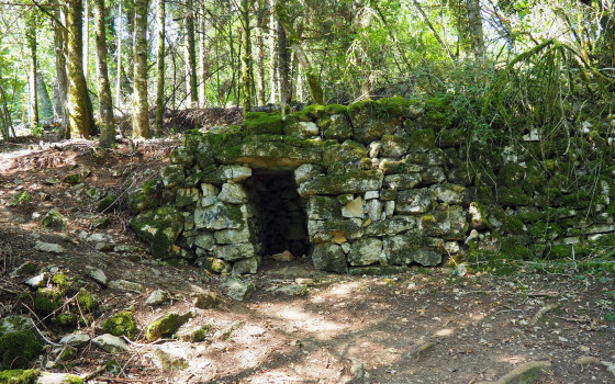 Une caborde de Bregille