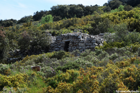 Une Capitelle