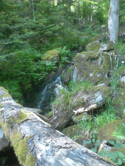 Une cascade