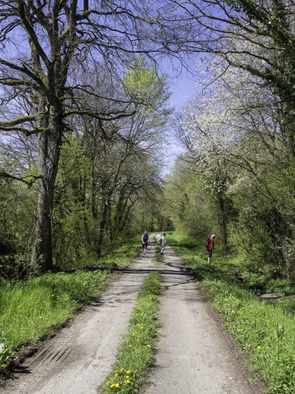Une charmante petite route très tranquille