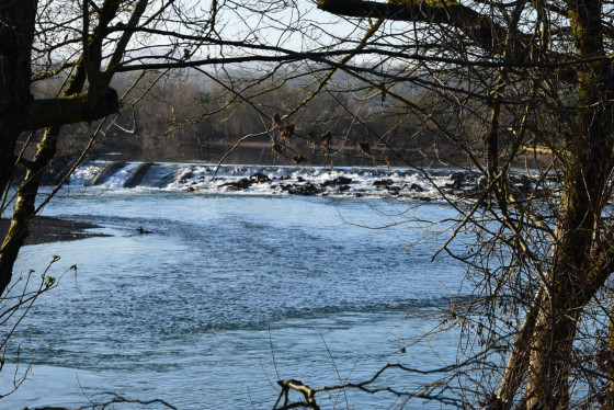 A faire La Voie de la Nive d'Ustaritz à Bassussarry Randonnée