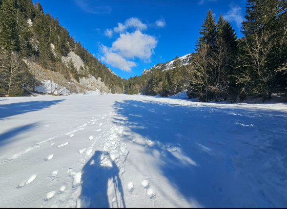 Une clairière avec un beau panorama.