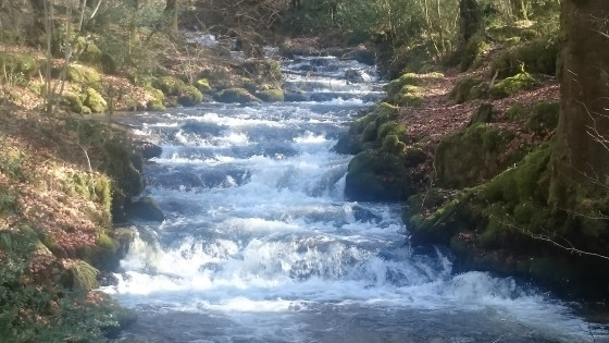 Une des cascades d'Augerolles