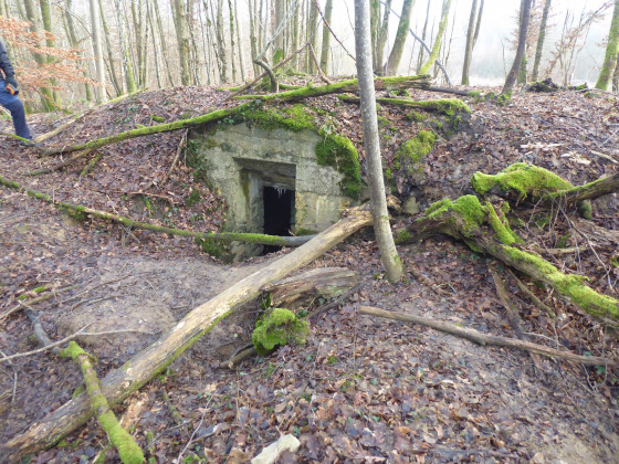Une des entr&eacute;es d'un abri enterr&eacute; b&eacute;tonn&eacute;