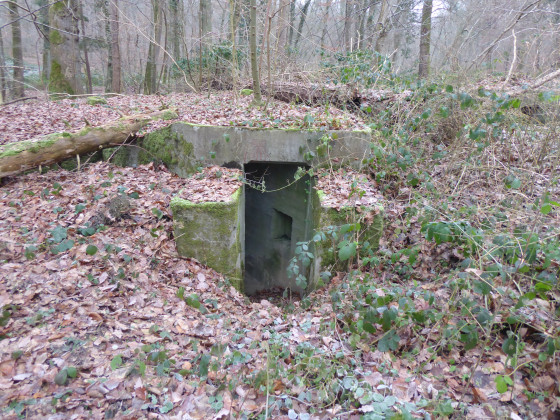 Une des entr&eacute;es d'un abri enterr&eacute; b&eacute;tonn&eacute;
