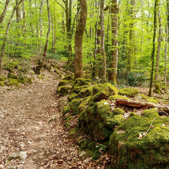 Une des facettes du parcours