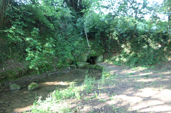Une des sources de la Sèvre Niortaise