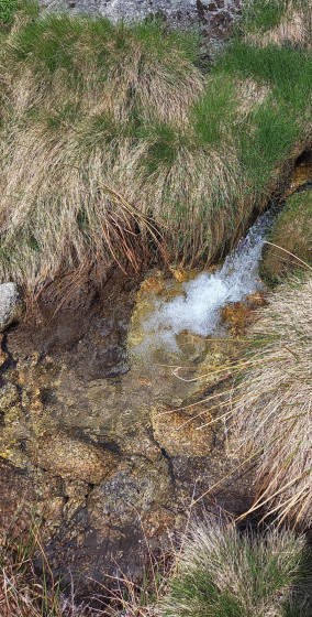 Une des sources du Tarn