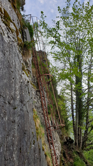 Une échelle de crinoline sur le Sentier des fenêtres