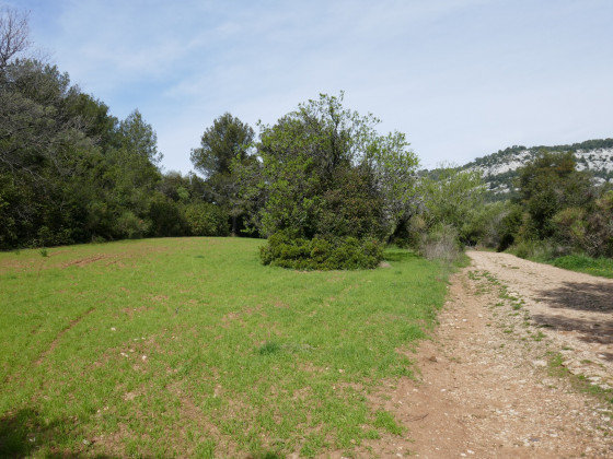 Une emblavure Une emblavure