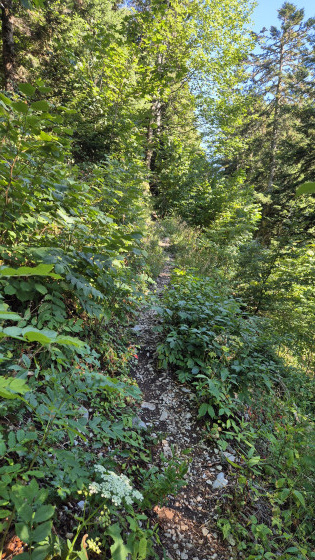 Une idée du sentier