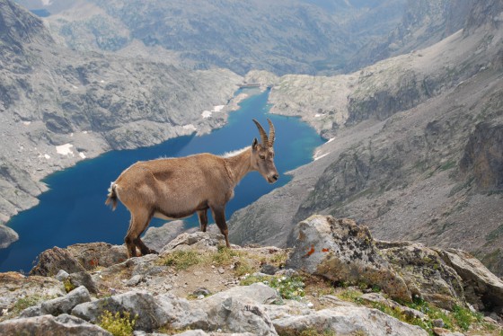 Une intruse s\'est invitée sur cette photo du Lac Long, saurez-vous la retrouver ?