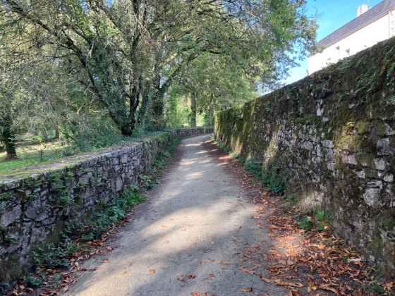 Une ligne droite bien bordée
