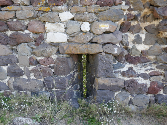 Une meurtrière