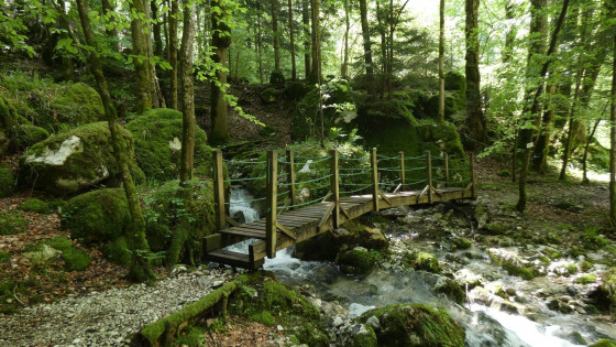 Une passerelle qui enjambe un affluant