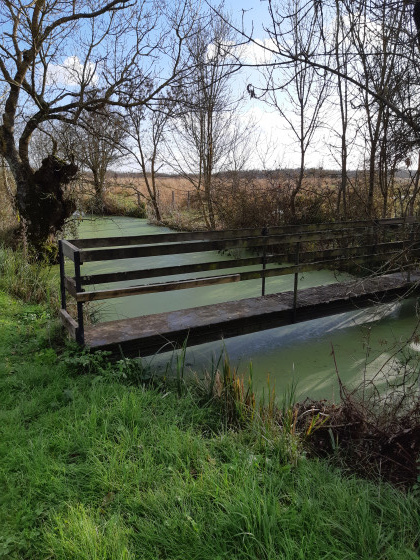 Une passerelle sur le canal du marais