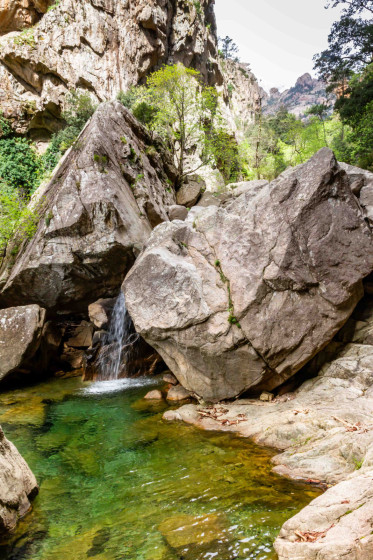 Une petite chute