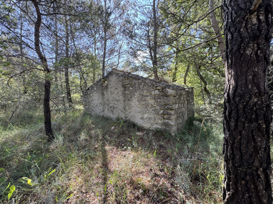Une petite maison en ruine