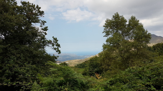 Une petite vue sur Saint Florent