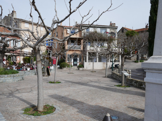 Une place plantée de mûriers