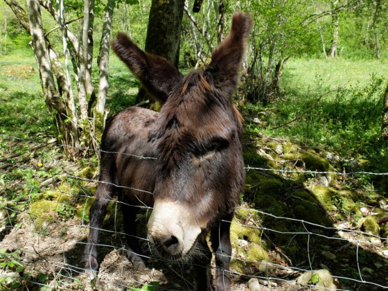 Une rencontre inatendue