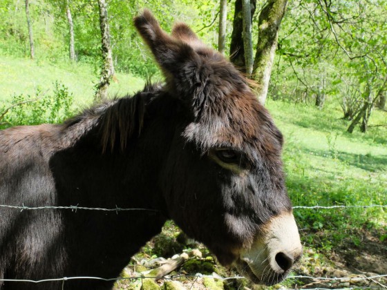 Une rencontre inatendue