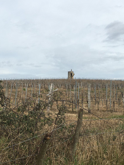 Une tour dans les vignes