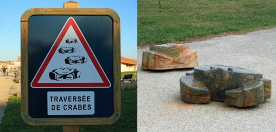 Une "travers&eacute;e de crabes" sur la promenade Marie de Beaucaire !!!