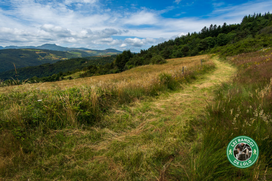 Une vue sur le M&eacute;zenc