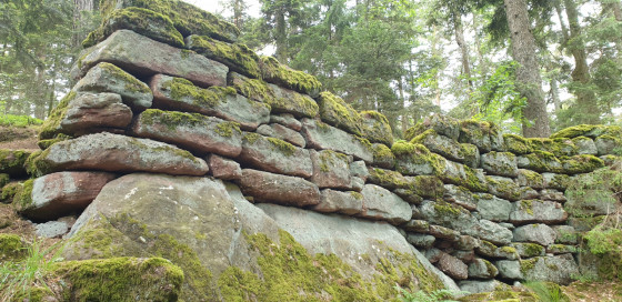 Une vue sur le mur paien