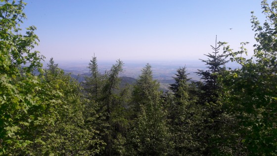 Ungersberg