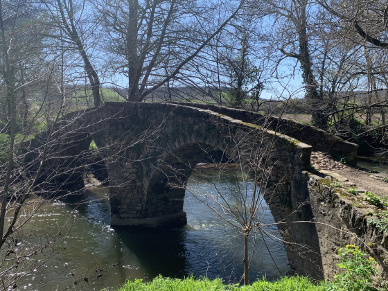 Le pont des ânes sur le Cérou