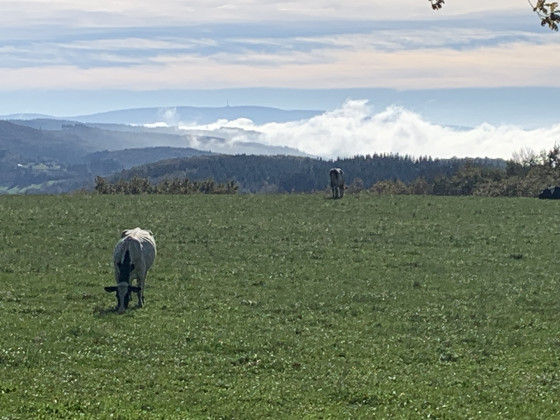 Vue des alpages après Casalits