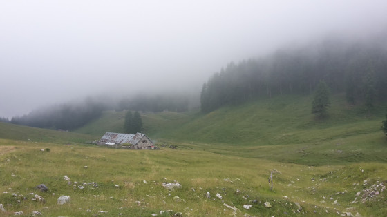Vacherie de Longon
