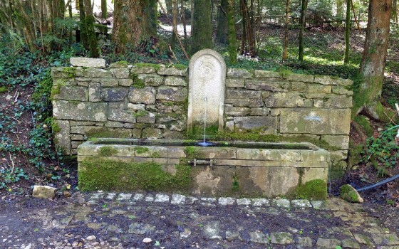 Vaire-le-Grand - La fontaine des Tilleuls