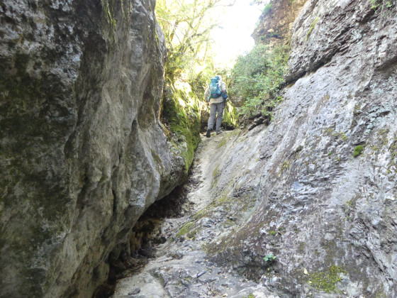 Vallat du Loup
