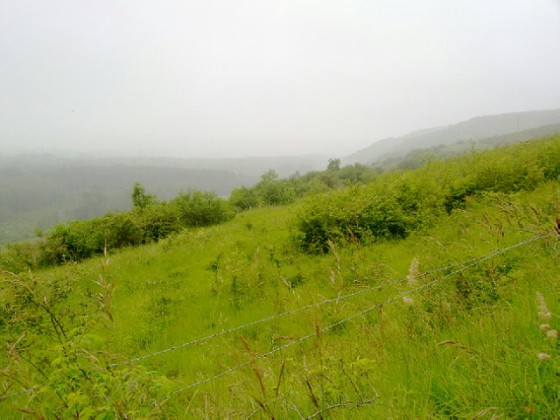 Vallée dans la brume