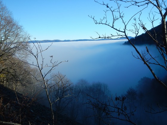 Vallée dans le brouillard
