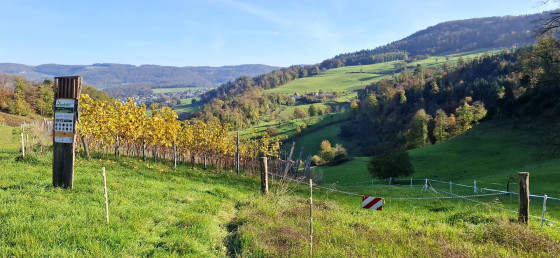 Vallée de Aesch - Pfeffingen