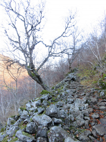 Vallée de Chaudefour