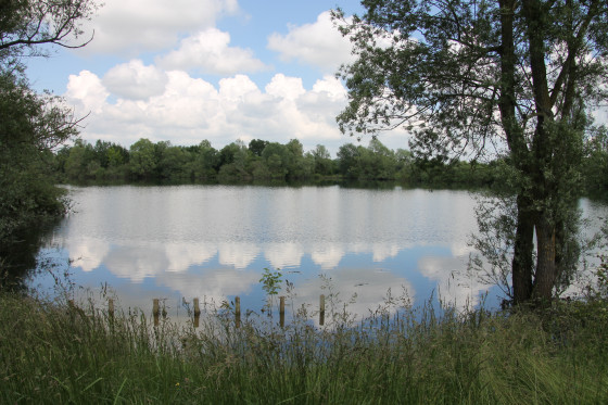 Vallée de l'Aube