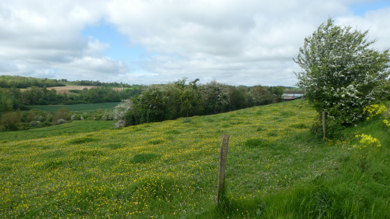 Vallée de l\'Aubette de Magny
