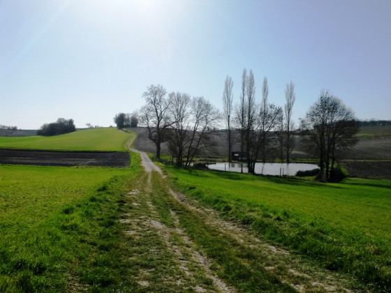 Vallée de  l'écly