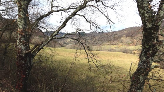 Vallée de l'Oize