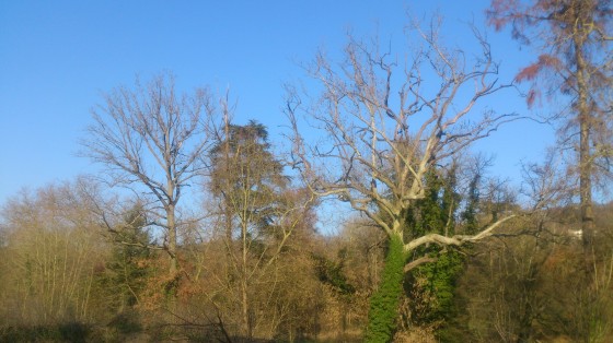 Vall&eacute;e de la Bi&egrave;vre