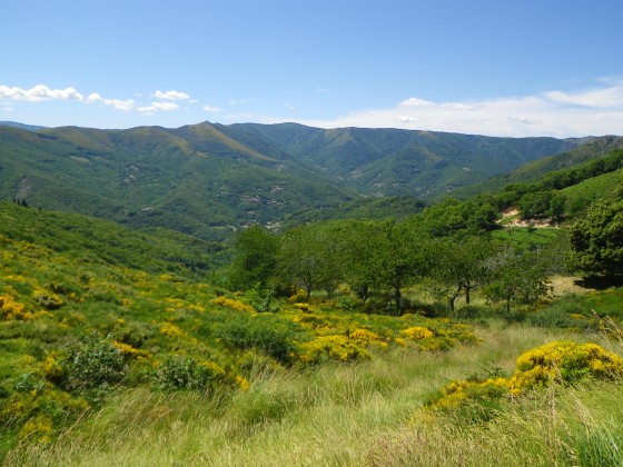 Vallée de la Bourges