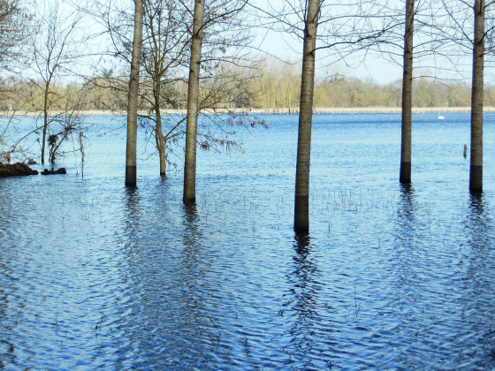 Vall&eacute;e de la Charente - Le long du Charenton en crue