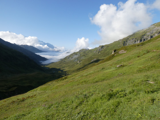 Vallée de la Diosaz